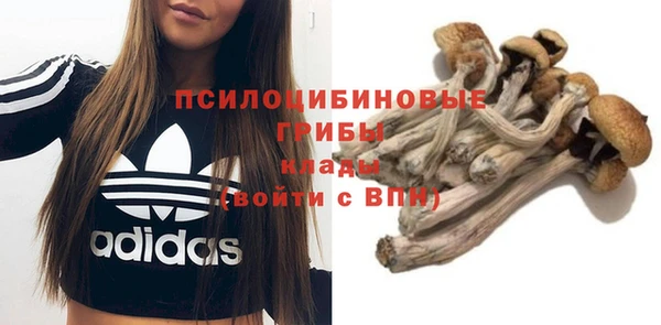 скорость Вяземский