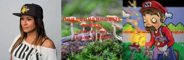 амф Вязьма