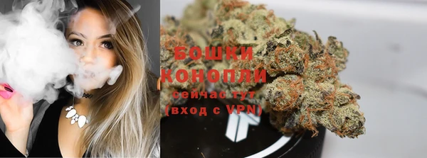скорость Вяземский