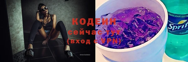 скорость Вяземский
