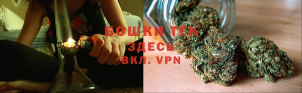 скорость Вяземский
