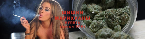 амф Вязьма