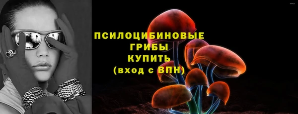 mdpv Володарск