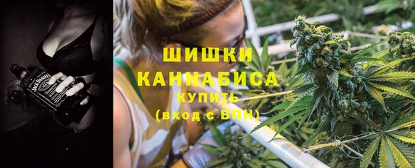 амф Вязьма