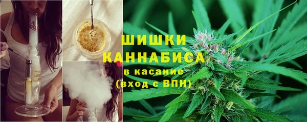 скорость Вяземский