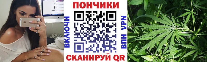 Шишки марихуана гибрид  сайты даркнета клад  Карабаново 